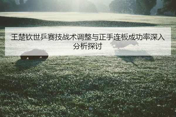 王楚钦世乒赛技战术调整与正手连板成功率深入分析探讨
