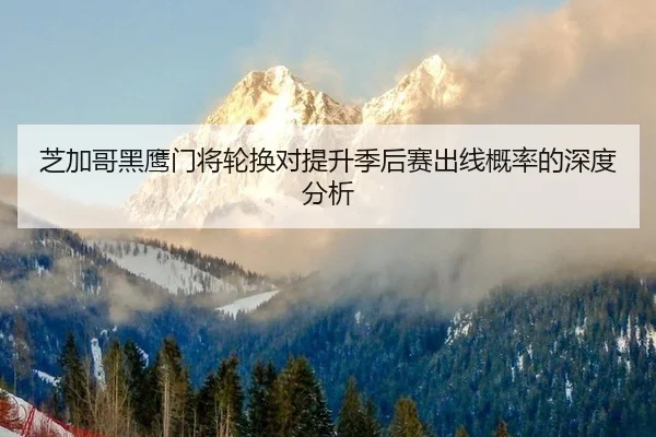 芝加哥黑鹰门将轮换对提升季后赛出线概率的深度分析